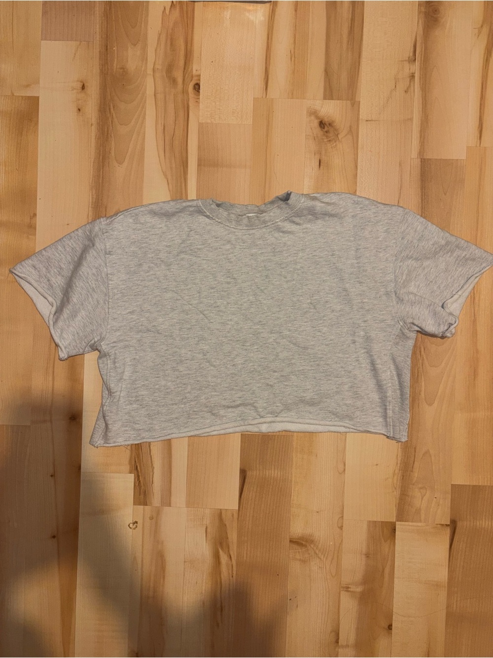 Zara Light Gray Cropped Crewneck Tee
